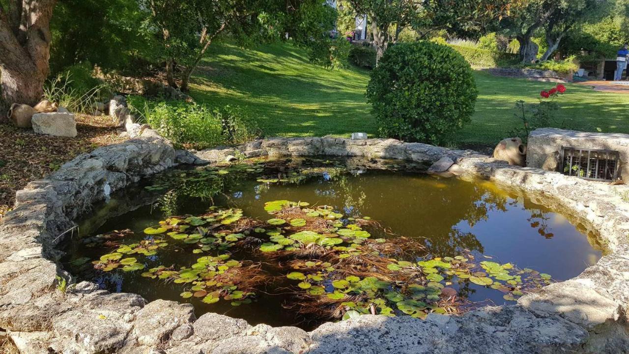 Fantastica Villa A 3 Minutos Del Centro De Ronda Dış mekan fotoğraf